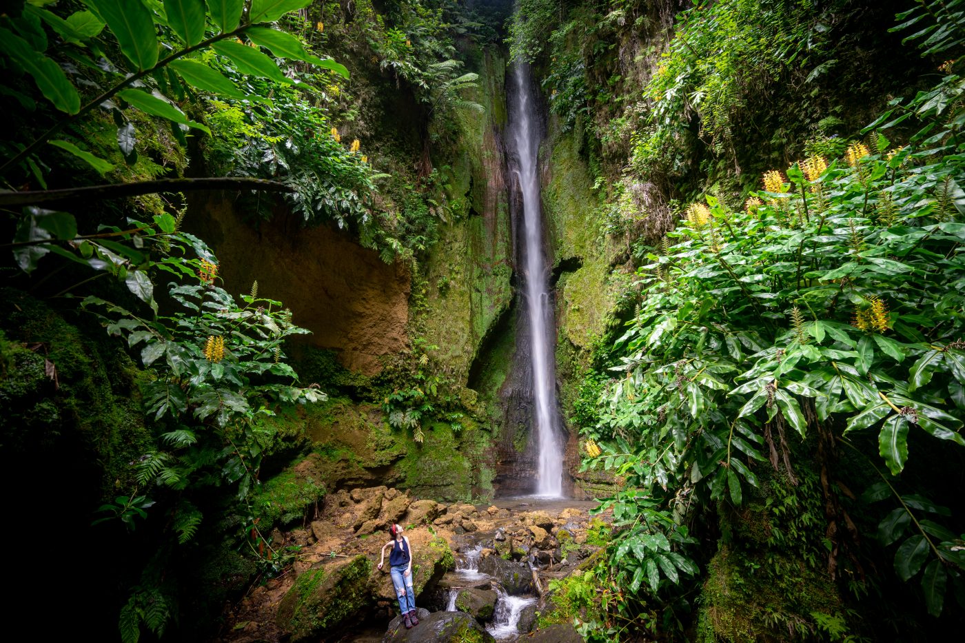 Waterfall