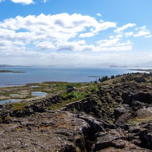 Island_12-06-09_IMG_0992